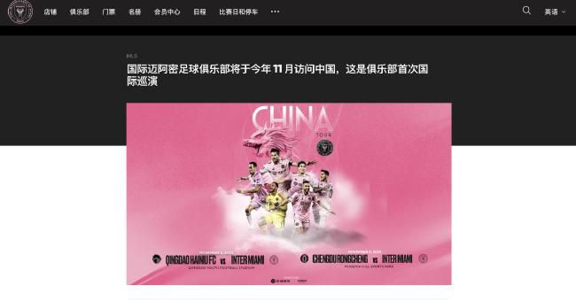 国产一区二区精品久久岳