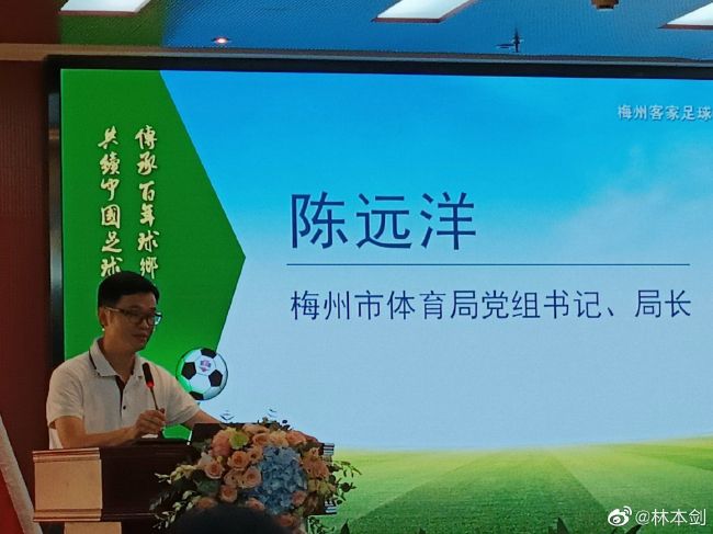 贴身保镖第二季在线观看
