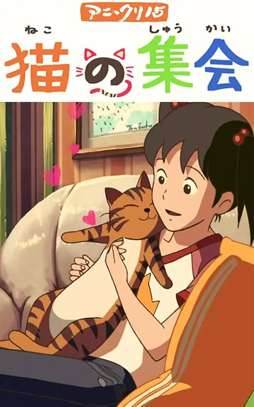 办会员的条件