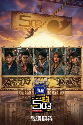 久久精品视频播放