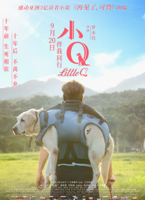 自由的xxxx在线视频
