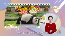 插曲视频免费高清观看
